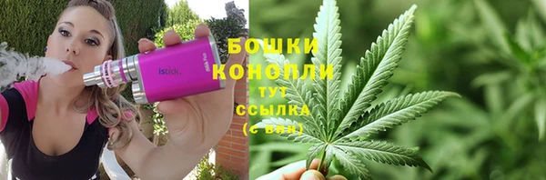 ECSTASY Богородицк