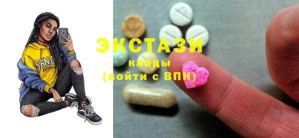 ECSTASY Богородицк