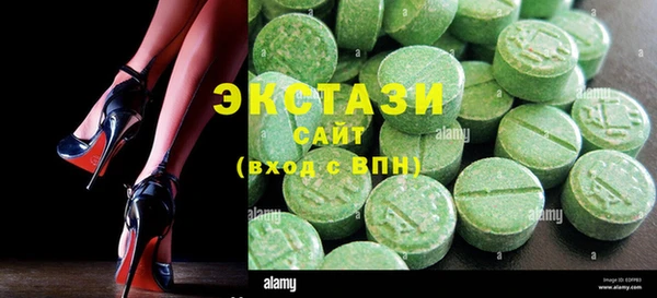 ECSTASY Богородицк