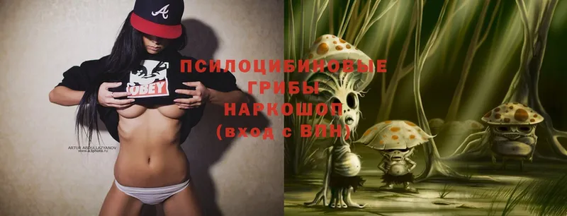 купить наркотик  Надым  Псилоцибиновые грибы Psilocybe 